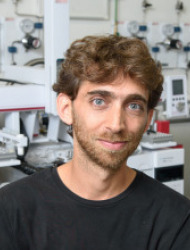 Guy Polturak