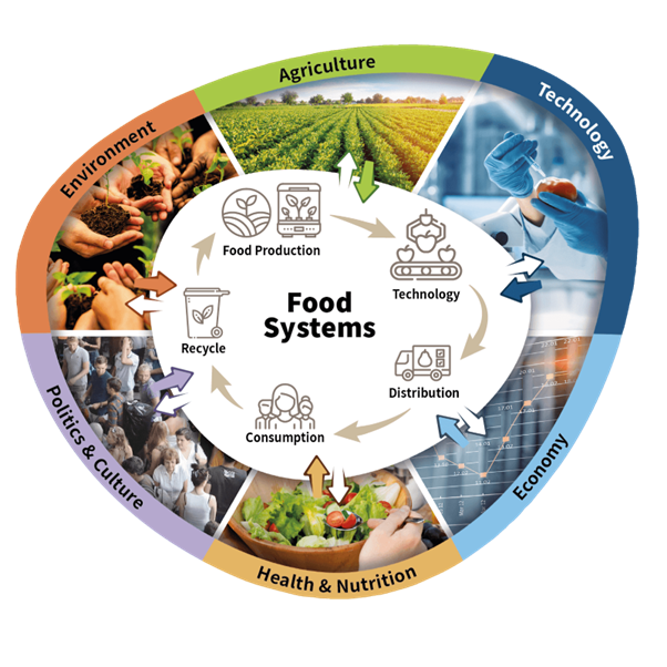 FoodSystem